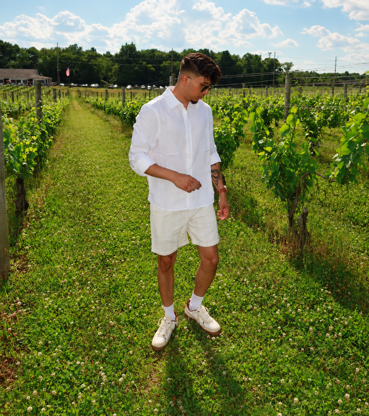 Vineyard
